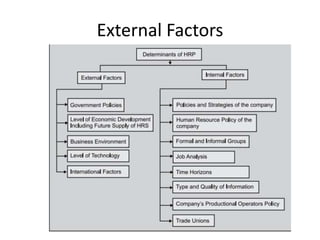 External Factors
 