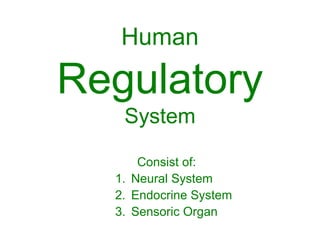 Human

Regulatory
   System

      Consist of:
  1. Neural System
  2. Endocrine System
  3. Sensoric Organ
 