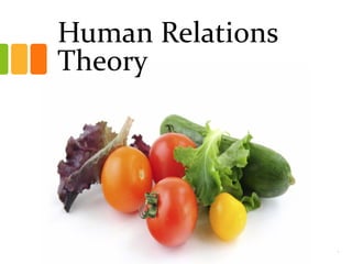 Human Relations
Theory
1
 