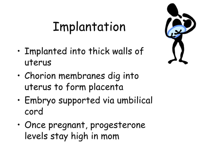 Human Reproductive System PPT