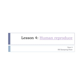 Lesson 4: Human reproduce

                          Year 4
                 SK Kampong Pasir
 