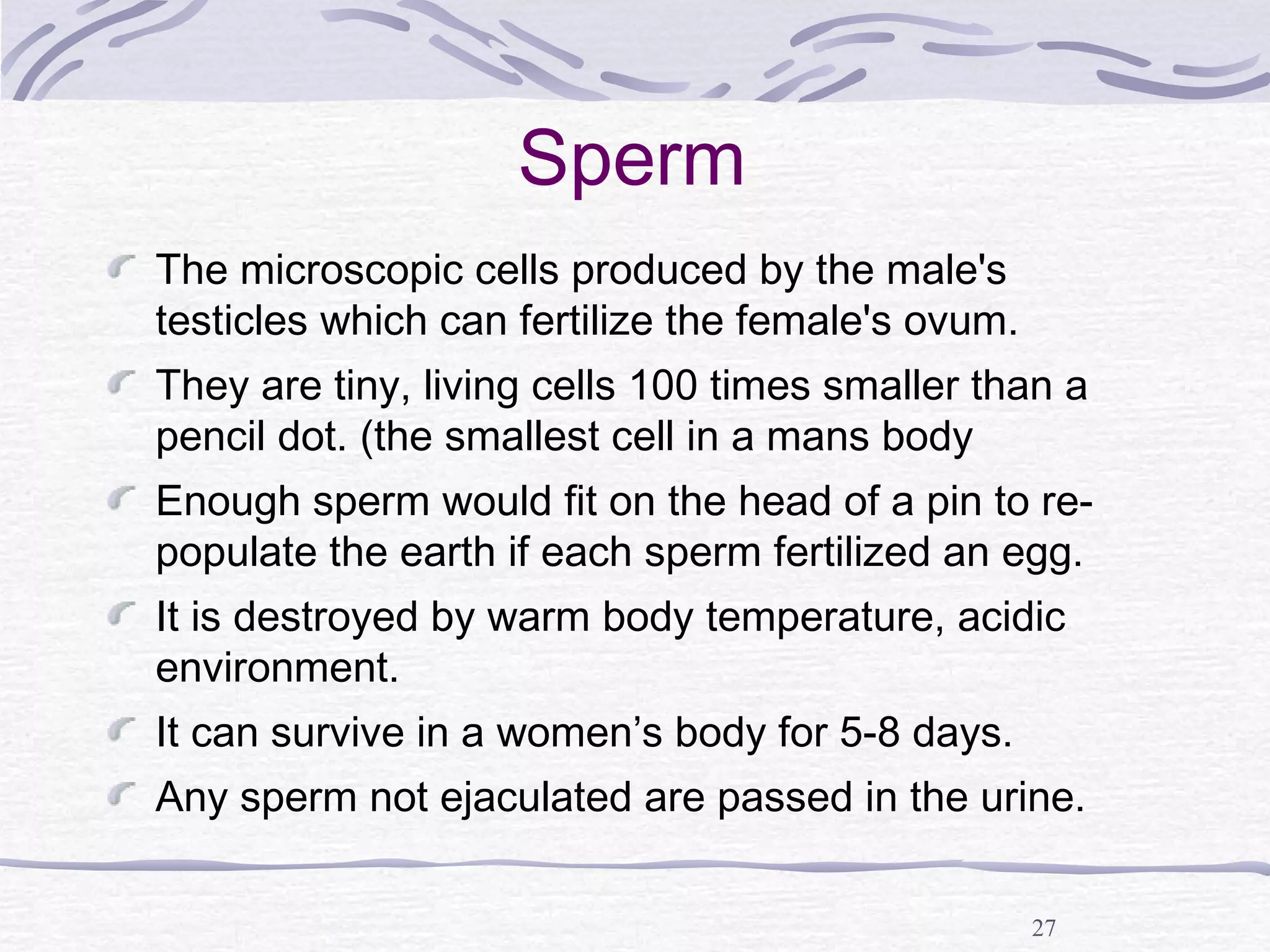 27
Sperm
The microscopic cells produced by the male's
testicles which can fertilize the female's ovum.
They are tiny, living cells 100 times smaller than a
pencil dot. (the smallest cell in a mans body
Enough sperm would fit on the head of a pin to re-
populate the earth if each sperm fertilized an egg.
It is destroyed by warm body temperature, acidic
environment.
It can survive in a women’s body for 5-8 days.
Any sperm not ejaculated are passed in the urine.
 