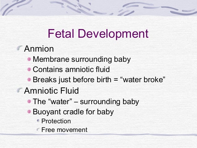 human reproduction