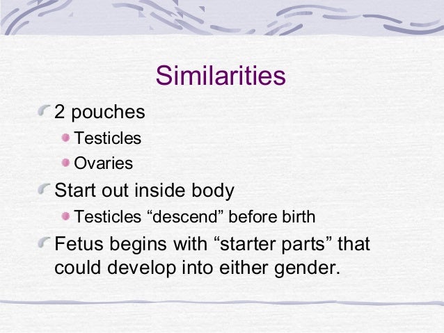 human reproduction