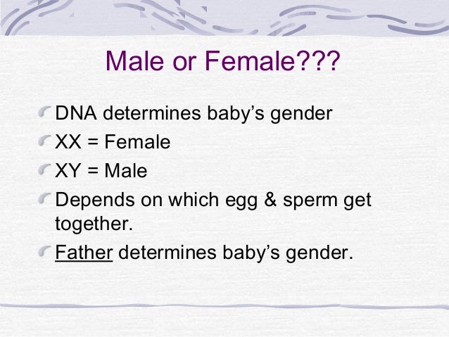 human reproduction