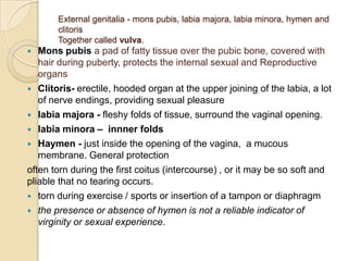 External genitalia - mons pubis, labia majora, labia minora, hymen and
clitoris
Together called vulva.

Mons pubis a pad of fatty tissue over the pubic bone, covered with
hair during puberty, protects the internal sexual and Reproductive
organs
 Clitoris- erectile, hooded organ at the upper joining of the labia, a lot
of nerve endings, providing sexual pleasure
 labia majora - fleshy folds of tissue, surround the vaginal opening.
 labia minora – innner folds
 Haymen - just inside the opening of the vagina, a mucous
membrane. General protection
often torn during the first coitus (intercourse) , or it may be so soft and
pliable that no tearing occurs.
 torn during exercise / sports or insertion of a tampon or diaphragm
 the presence or absence of hymen is not a reliable indicator of
virginity or sexual experience.


 