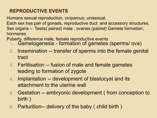 REPRODUCTIVE EVENTS
Humans sexual reproduction, viviparous, unisexual.
Each sex has pair of gonads, reproductive duct and accessory structures.
Sex organs – Testis( paired) male , ovaries (paired) Gamete formation,
hormones
Puberty, difference male, female reproductive events
1. Gametogenesis - formation of gametes (sperms/ ova)
2.
3.
4.
5.
6.

Insemination -- transfer of sperms into the female genital
tract
Fertilisation -- fusion of male and female gametes
leading to formation of zygote
Implantation -- development of blastocyst and its
attachment to the uterine wall
Gestation -- embryonic development ( from conception to
birth )
Parturition-- delivery of the baby ( child birth )

 