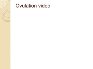 Ovulation video

 