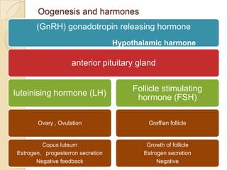 Oogenesis and harmones
(GnRH) gonadotropin releasing hormone
Hypothalamic harmone

anterior pituitary gland

luteinising hormone (LH)

Follicle stimulating
hormone (FSH)

Ovary , Ovulation

Graffian follicle

Copus luteum
Estrogen, progesterron secretion
Negative feedback

Growth of follicle
Estrogen secretion
Negative

 