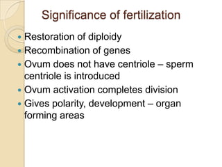 Significance of fertilization
Restoration of diploidy
 Recombination of genes
 Ovum does not have centriole – sperm
centriole is introduced
 Ovum activation completes division
 Gives polarity, development – organ
forming areas


 