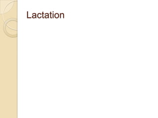 Lactation

 