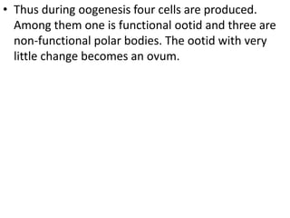 • Thus during oogenesis four cells are produced.
Among them one is functional ootid and three are
non-functional polar bodies. The ootid with very
little change becomes an ovum.

 