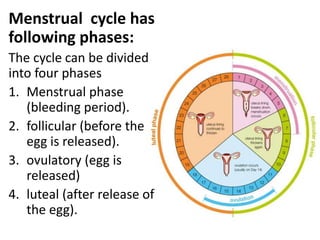 Menstrual cycle has
following phases:
The cycle can be divided
into four phases
1. Menstrual phase
(bleeding period).
2. follicular (before the
egg is released).
3. ovulatory (egg is
released)
4. luteal (after release of
the egg).

 