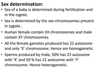 Sex determination:

• Sex of a baby is determined during fertilization and
in the zygote.
• Sex is determined by the sex-chromosomes present
in zygote..
• Human female contain XX chromosomes and male
contain XY chromosomes.
• All the female gametes produced has 22 autosome
and only ‘X’ chromosome. Hence are homogametic.
• Sperms produced by male, 50% has 22 autosome
with ‘X’ and 50 % has 22 autosome with ‘Y’
chromosome. Hence heterogametic.

 