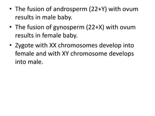 • The fusion of androsperm (22+Y) with ovum
results in male baby.
• The fusion of gynosperm (22+X) with ovum
results in female baby.
• Zygote with XX chromosomes develop into
female and with XY chromosome develops
into male.

 