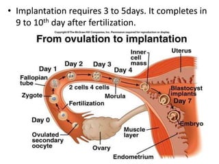 • Implantation requires 3 to 5days. It completes in
9 to 10th day after fertilization.

 