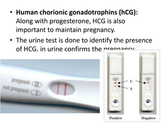 • Human chorionic gonadotrophins (hCG):
Along with progesterone, HCG is also
important to maintain pregnancy.
• The urine test is done to identify the presence
of HCG. in urine confirms the pregnancy.

 