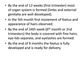 • By the end of 12 weeks (first trimester) most
of organ system is formed (limbs and external
genitalia are well developed).
• In the 5th month first movement of foetus and
appearance of hairs observed.
• By the end of 24th week (6th month or 2nd
trimesters) the body is covered with fine hairs,
eye-lids separate, and eyelashes are formed.
• By the end of 9 months the foetus is fully
developed and is ready for delivery.

 