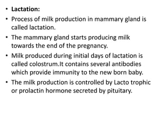 • Lactation:
• Process of milk production in mammary gland is
called lactation.
• The mammary gland starts producing milk
towards the end of the pregnancy.
• Milk produced during initial days of lactation is
called colostrum.It contains several antibodies
which provide immunity to the new born baby.
• The milk production is controlled by Lacto trophic
or prolactin hormone secreted by pituitary.

 