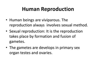 Human Reproduction
• Human beings are viviparous. The
reproduction always involves sexual method.
• Sexual reproduction: It is the reproduction
takes place by formation and fusion of
gametes.
• The gametes are develops in primary sex
organ testes and ovaries.

 