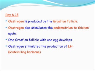 Day 6-13
 Oestrogen is produced by the Graafian Follicle.
 Oestrogen also stimulates the endometrium to thicken
again.
 One Graafian follicle with one egg develops.
 Oestrogen stimulated the production of LH
(leuteinising hormone).
 