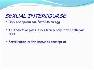 SEXUAL INTERCOURSE
 Only one sperm can fertilise an egg
 This can take place successfully only in the fallopian
tube
 Fertilisation is also known as conception
 