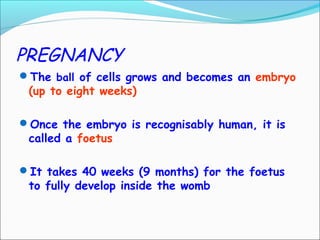 PREGNANCY
The ball of cells grows and becomes an embryo
(up to eight weeks)
Once the embryo is recognisably human, it is
called a foetus
It takes 40 weeks (9 months) for the foetus
to fully develop inside the womb
 