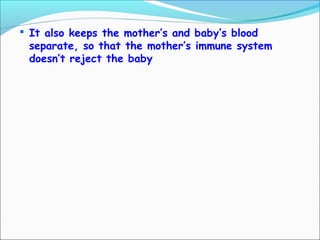 It also keeps the mother’s and baby’s blood
separate, so that the mother’s immune system
doesn’t reject the baby
 