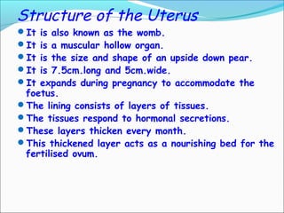 Structure of the Uterus
It is also known as the womb.
It is a muscular hollow organ.
It is the size and shape of an upside down pear.
It is 7.5cm.long and 5cm.wide.
It expands during pregnancy to accommodate the
foetus.
The lining consists of layers of tissues.
The tissues respond to hormonal secretions.
These layers thicken every month.
This thickened layer acts as a nourishing bed for the
fertilised ovum.
 
