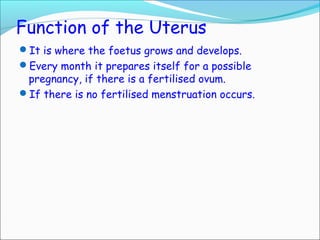 Function of the Uterus
It is where the foetus grows and develops.
Every month it prepares itself for a possible
pregnancy, if there is a fertilised ovum.
If there is no fertilised menstruation occurs.
 