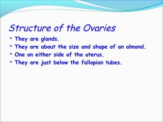Structure of the Ovaries
 They are glands.
 They are about the size and shape of an almond.
 One on either side of the uterus.
 They are just below the fallopian tubes.
 