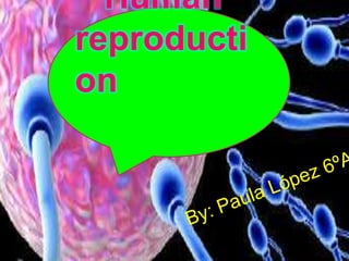 Human
reproducti
on
 