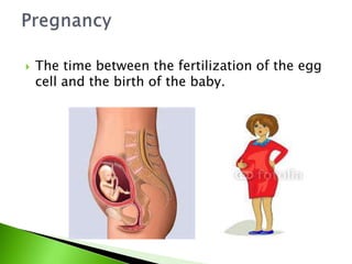  The time between the fertilization of the egg
cell and the birth of the baby.
 