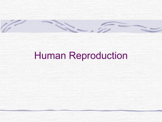Human Reproduction
 