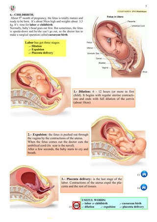 5
C.E.I.P. SANTA ANA (Madridejos)
6.– CHILDBIRTH.
About 9th
month of pregnancy, the fetus is totally mature and
ready to be born. It’s about 50cm high and weights about 3,3
kg. It’s time for labor or childbirth.
Normally, baby’s head goes out first. But sometimes, the fetus
is upside-down and he/she can’t go out, so the doctor has to
make a surgical operation called caesarean birth.
USEFUL WORDS:
.– labor or childbirth .- caesarean birth
.– dilation .– expulsion .– placenta delivery
Labor has got three stages:
.– Dilation
.– Expulsion
.– Placenta delivery
1.- Dilation: 6 - 12 hours (or more in first
child). It begins with regular uterine contracti-
ons and ends with full dilation of the cervix
(about 10cm)
2.– Expulsion: the fetus is pushed out through
the vagina by the contractions of the uterus.
When the fetus comes out the doctor cuts the
umbilical cord (its scar is the navel).
After a few seconds, the baby starts to cry and
breath.
3.– Placenta delivery: is the last stage of the
labor. Contractions of the uterus expel the pla-
centa and the rest of tissues.
15
13
14
 