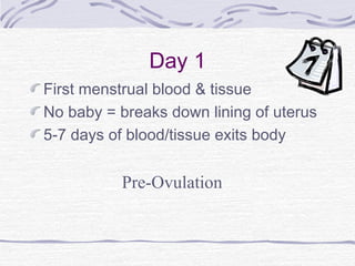Day 1
First menstrual blood & tissue
No baby = breaks down lining of uterus
5-7 days of blood/tissue exits body
Pre-Ovulation
 