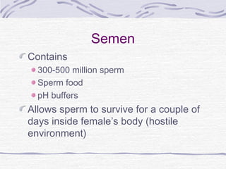 Semen
Contains
300-500 million sperm
Sperm food
pH buffers
Allows sperm to survive for a couple of
days inside female’s body (hostile
environment)
 