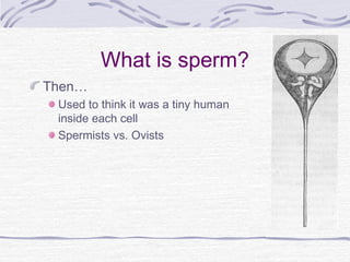 What is sperm?
Then…
Used to think it was a tiny human
inside each cell
Spermists vs. Ovists
 