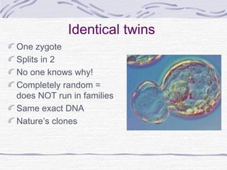 Identical twins
One zygote
Splits in 2
No one knows why!
Completely random =
does NOT run in families
Same exact DNA
Nature’s clones
 