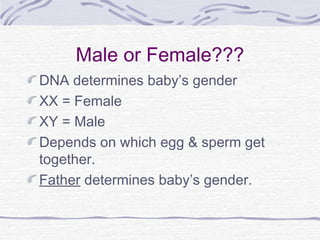 Male or Female???
DNA determines baby’s gender
XX = Female
XY = Male
Depends on which egg & sperm get
together.
Father determines baby’s gender.
 