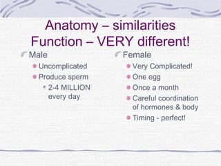 Anatomy – similarities
Function – VERY different!
Male
Uncomplicated
Produce sperm
2-4 MILLION
every day
Female
Very Complicated!
One egg
Once a month
Careful coordination
of hormones & body
Timing - perfect!
 