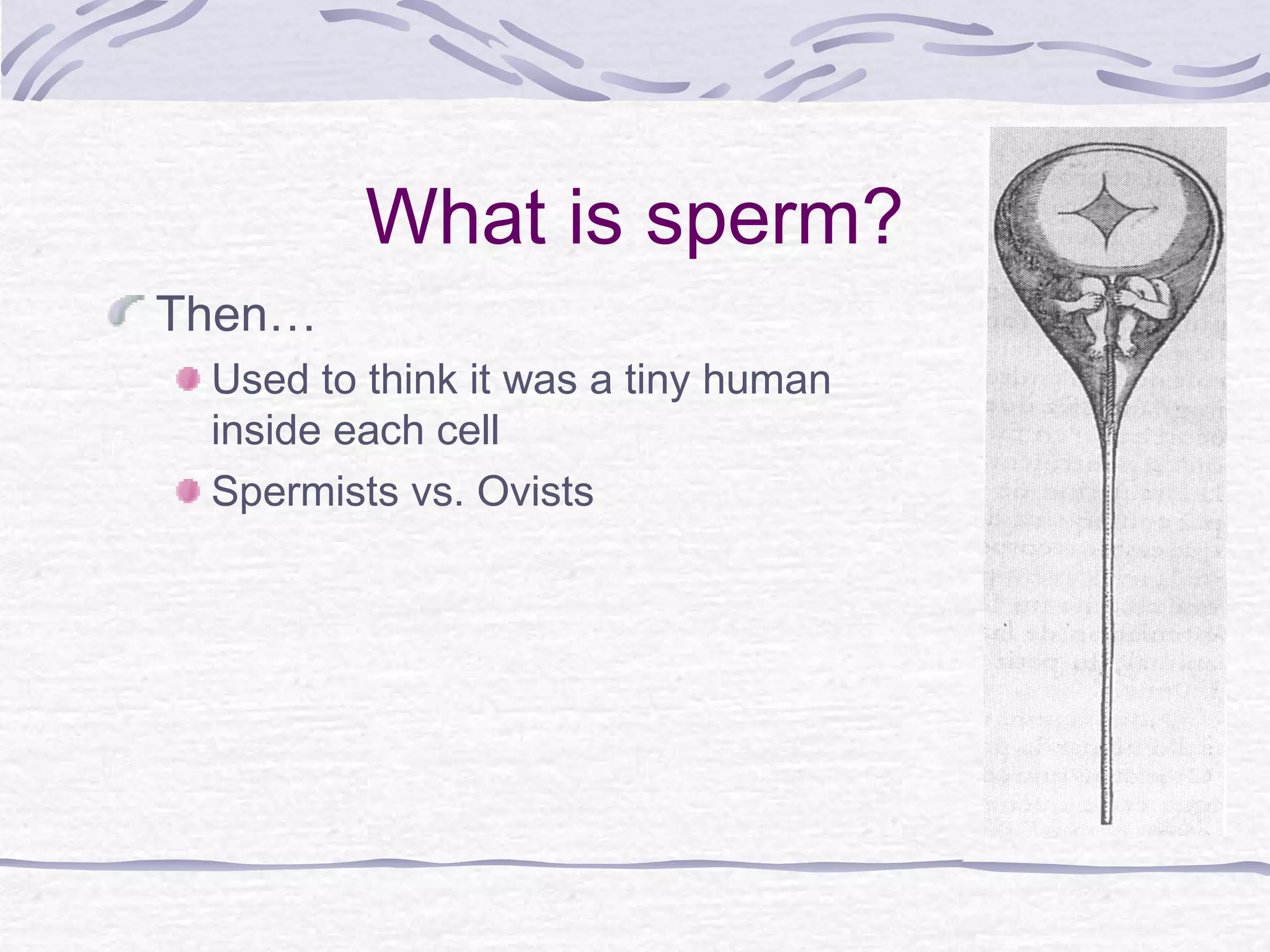What is sperm?
Then…
Used to think it was a tiny human
inside each cell
Spermists vs. Ovists
 