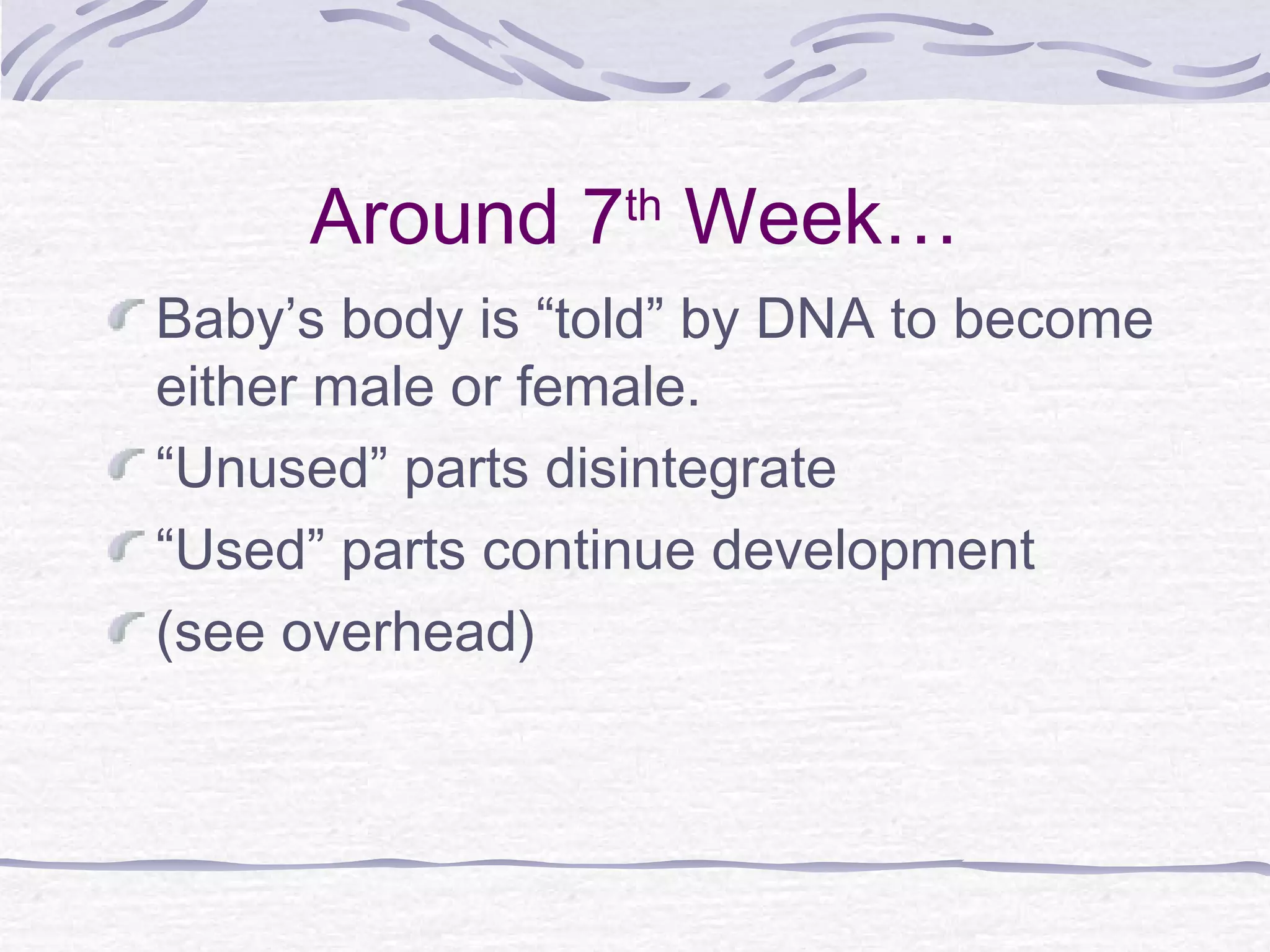 Around 7th
Week…
Baby’s body is “told” by DNA to become
either male or female.
“Unused” parts disintegrate
“Used” parts continue development
(see overhead)
 