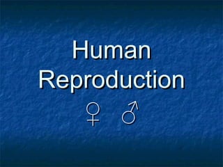 HumanHuman
ReproductionReproduction
♀ ♂♀ ♂
 