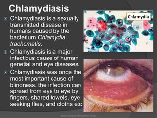 Chlamydia In Humans Human reproduction | PPTX