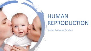 HUMAN
REPRODUCTION
Teacher Francesca De Marzi
 