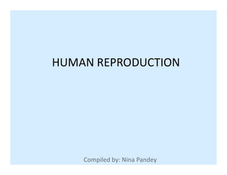 HUMAN REPRODUCTION
 
