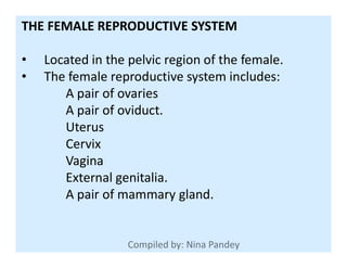 THE FEMALE REPRODUCTIVE SYSTEM
• Located in the pelvic region of the female.
• The female reproductive system includes:
A pair of ovaries
A pair of oviduct.
UterusUterus
Cervix
Vagina
External genitalia.
A pair of mammary gland.
 