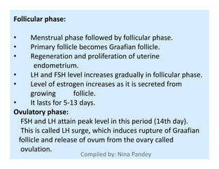 Follicular phase:
• Menstrual phase followed by follicular phase.
• Primary follicle becomes Graafian follicle.
• Regeneration and proliferation of uterine
endometrium.
• LH and FSH level increases gradually in follicular phase.
• Level of estrogen increases as it is secreted from• Level of estrogen increases as it is secreted from
growing follicle.
• It lasts for 5-13 days.
Ovulatory phase:
FSH and LH attain peak level in this period (14th day).
This is called LH surge, which induces rupture of Graafian
follicle and release of ovum from the ovary called
ovulation.
 
