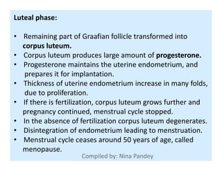 Luteal phase:
• Remaining part of Graafian follicle transformed into
corpus luteum.
• Corpus luteum produces large amount of progesterone.
• Progesterone maintains the uterine endometrium, and
prepares it for implantation.
• Thickness of uterine endometrium increase in many folds,• Thickness of uterine endometrium increase in many folds,
due to proliferation.
• If there is fertilization, corpus luteum grows further and
pregnancy continued, menstrual cycle stopped.
• In the absence of fertilization corpus luteum degenerates.
• Disintegration of endometrium leading to menstruation.
• Menstrual cycle ceases around 50 years of age, called
menopause.
 